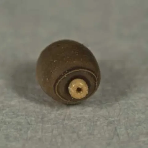 D. Indian walking stick egg.