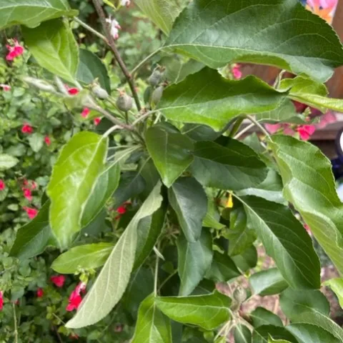 photo credit: Cindy Yee