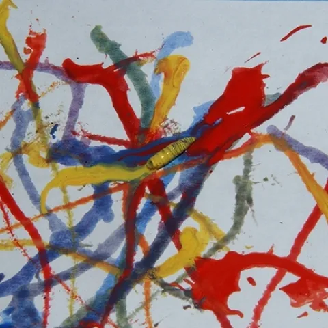 The making of a Maggot Art masterpiece: art is created by dipping maggots into non-toxic, water-based paint. (Photo by Kathy Keatley Garvey)