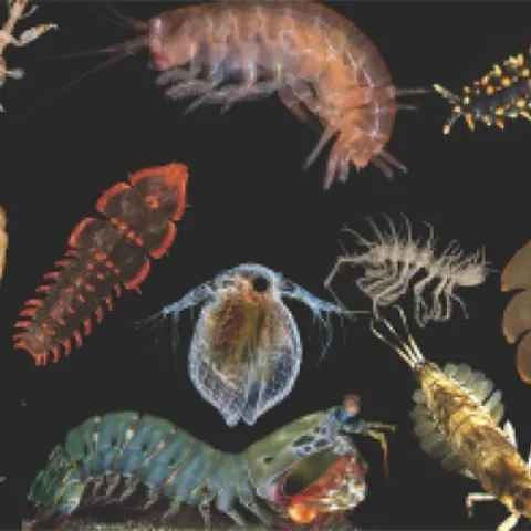 This illustration is part of Heather Bruce's seminar.