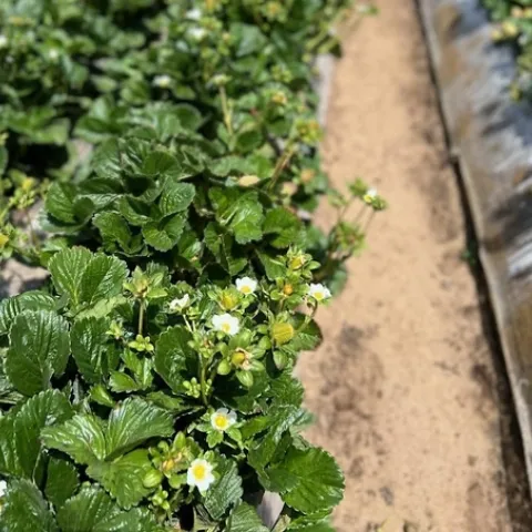 https cdn.evbuc.com images 270314539 461716619490 1 original