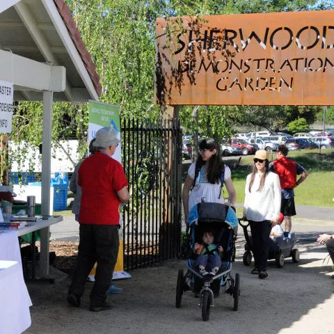 SDG front gate visitors