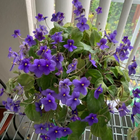 photo by Kathy Gunther