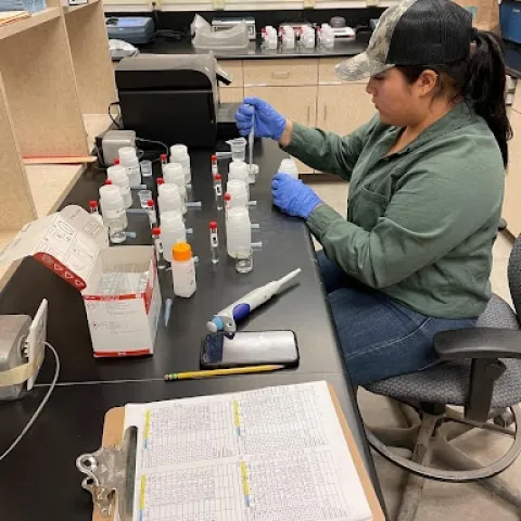 Dianely Alba sitting at a lab bench and pipetting