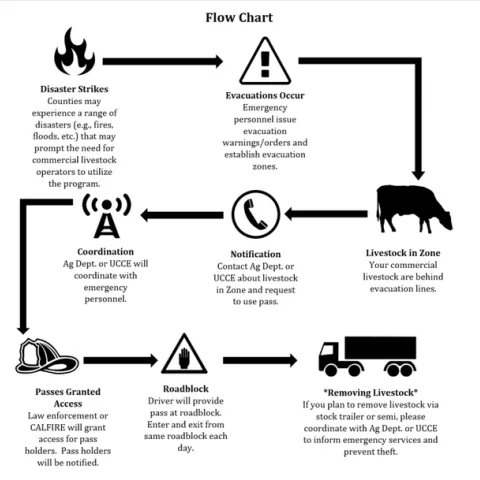 Screenshot 2022-05-04 091814