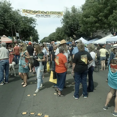 Thousands attend the annual California Honey Festival, launched in 2017. This image is from the 2018 festival. (Photo by Kathy Keatley Garvey)