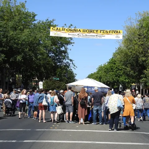 A crowd descends on the California Honey Festival, held last Saturday in downtown Woodland. (Photo by Kathy Keatley Garvey)