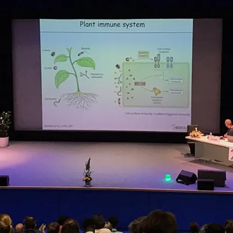 UC Davis nematologist Shahid Siddique presents a seminar on “How Plants Recognize Nematodes: Signals and Signalling” at the Seventh International Congress of Nematology meeting in Antibes Juan-Les-Pins, France.