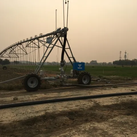 Figure 1. UC Davis trial location with overhead irrigation system used to apply irrigation treatments. (Photo by M. Leinfelder-Miles)