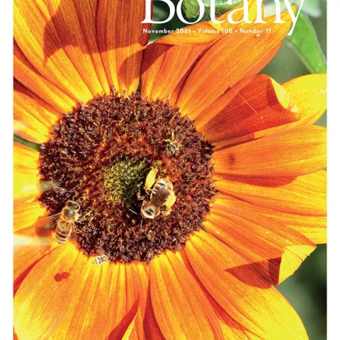 Research by co-authors Maureen Page and Charlie Casey Nicholson scored the cover story of the American Journal of Botany, November 2021 edition. (Photo by Kathy Keatley Garvey)