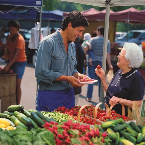 A white-haired woman holds a strawberry and smiles back at a brown-haired man holding a plate of strawberries at a farmers market.