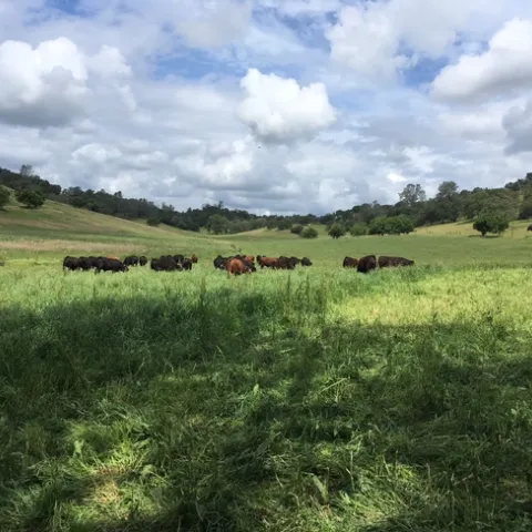 2018 grazing school pic2