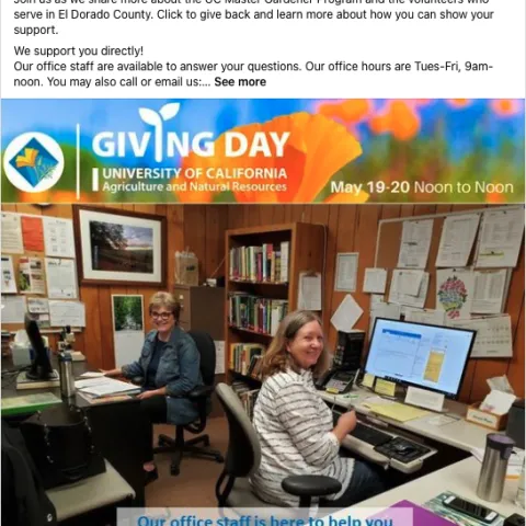 TODAY is #GivingDay!
Join us as we share more about the UC Master Gardener Program and the volunteers who serve in El Dorado County. Click to give back and learn more about how you can show your support.
We support you directly!
Our office staff are available to answer your questions. Our office hours are Tues-Fri, 9am-noon. You may also call or email us:
Phone: 530-621-5512
Email: mgeldorado@ucanr.edu
Donations will go towards our efforts with various community services, including our in-person and 