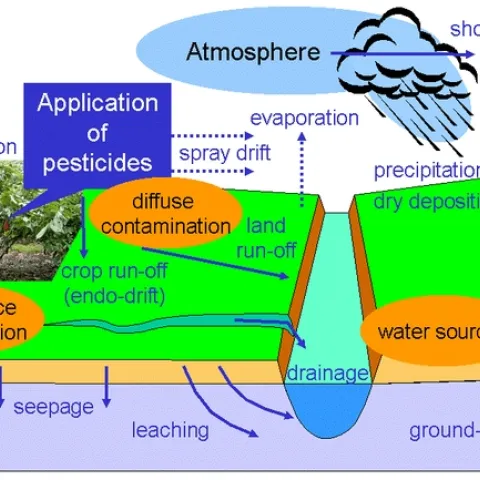 Environmental contamination Wikimedia commons