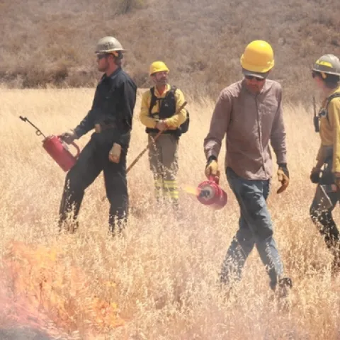 Three people wearing hard hats and carrying drip torches.