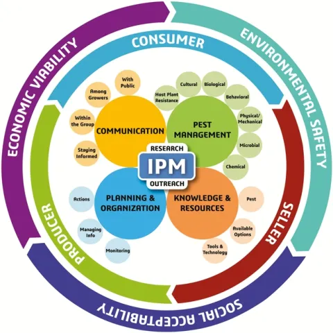 The new IPM model, Dara 2019