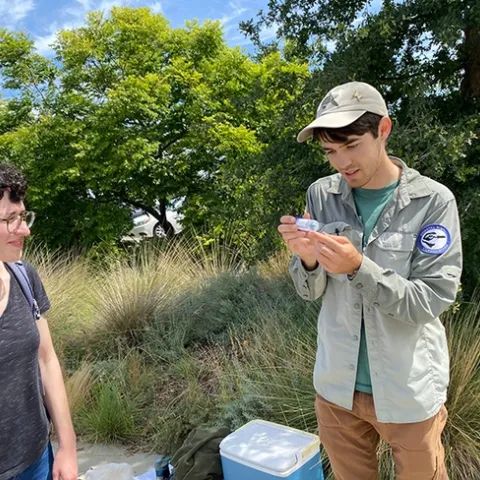 Tour leader Dylan Winkler, bumble bee scientific aide for the CDFWs Wildlife Diversity Program, checks out a bumble bee species. At left is UC Davis doctoral entomology candidate Daniele Rutkowski. (Photo by Cindy McReynolds)