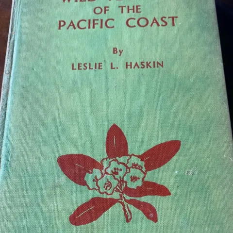 photos by Jennifer DeDora