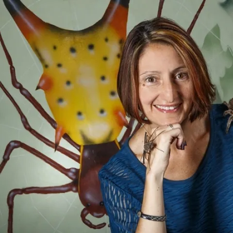 Professor Eileen Hebets of the School of Biological Sciences, University of Nebraska, Lincoln, is co-hosting the open house as part of a U.S. National Science Foundation grant, “Eight-Legged Encounters” that she developed as an outreach project to connect arachnologists with communities, especially youth.