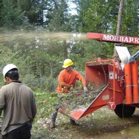 BCFSC Feeding the chipper, Lauren de Terra