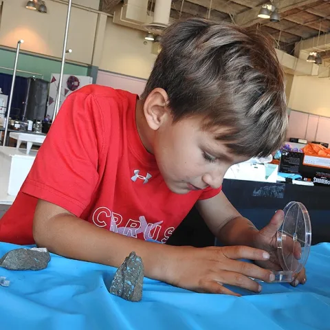 Brandon DeGroot,6, examines the bug he just collected outside McCormack Hall, Solano County Fairgrounds. (Photo by Kathy Keatley Garvey)