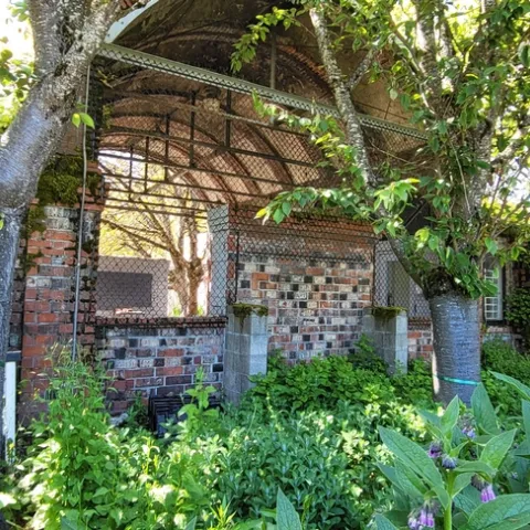 U of O Urban Garden Entrance - all photos by Al Alvarado
