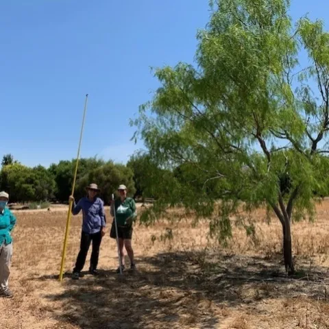 El equipo de Servicios Forestales de EE. UU. plantó árboles aptos para el clima en junio de 2021.