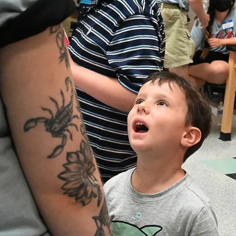 Shaked Hoffman, 5, of Davis, listens intently to an arachnologist talking about spiders. (Photo by Kathy Keatley Garvey)