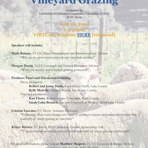 Vineyard grazing flyer (002)