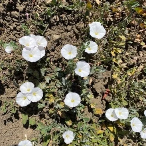 photos by Sherry Richards