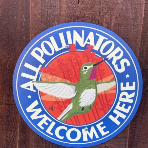 photo by Mike Gunther