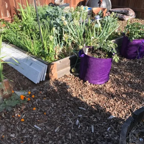 photos by Karen Metz