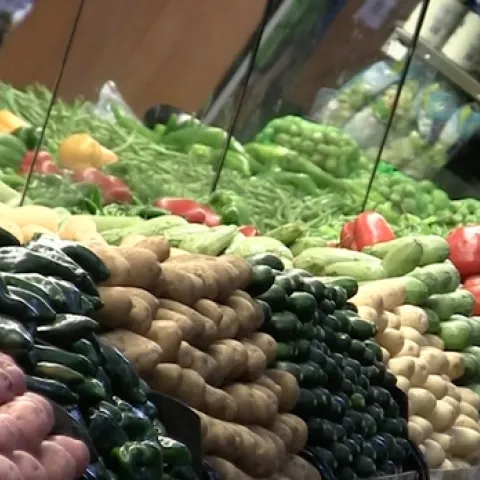 Seasonal Fruit and Vegetables