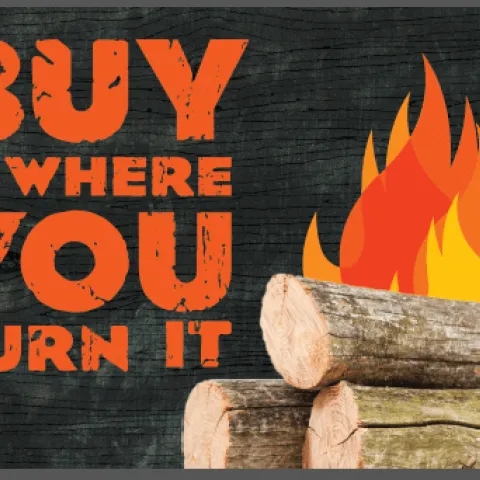 Slogan accompanied by logs of firewood and flames.