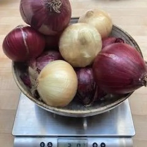 Weigh Onions