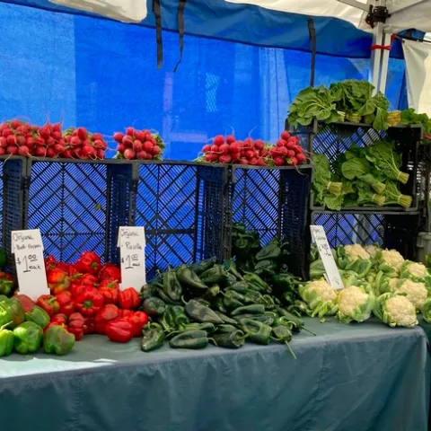 Lo granjeros orgánicos de California recibirán asistencia para la producción y comercialización de sus productos por parte de la CDFA y UC ANR.