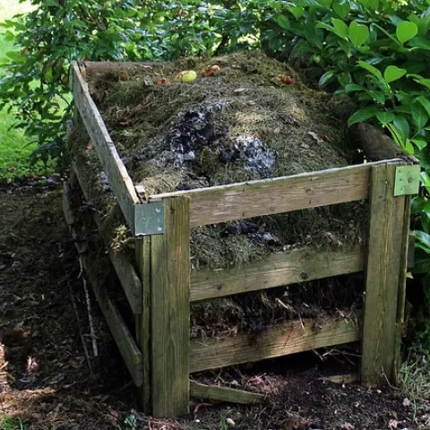 Square wooden bin with open sides houses decomposing compost.