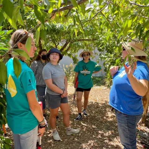 FoodCorps tree pruning workshop
