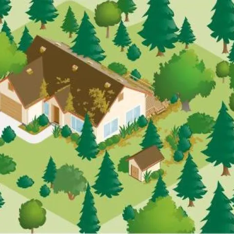 Before implementation of defensible space