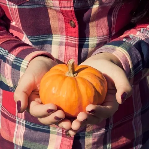 "360/365 - 10/3/2011" by GabrielaP93 is licensed under CC BY 2.0.