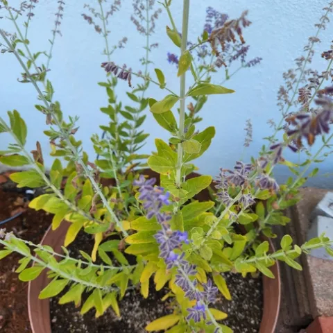 Photo by Polly Nelson