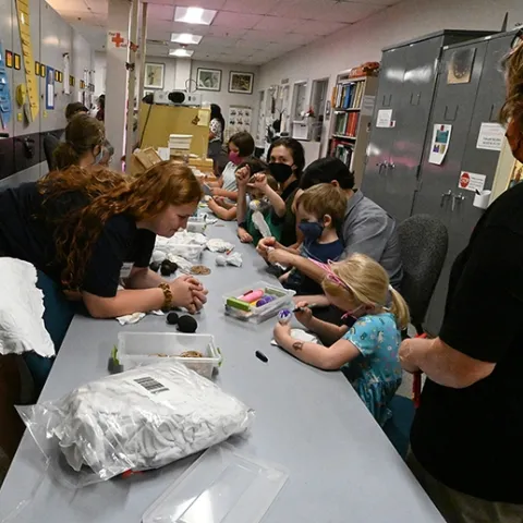 The Bohart Museum's family arts-and-crafts table, featuring how to make gall ghosts, was busy throughout the open house, themed "Weird and Wonderful Wasps." (Photo by Kathy Keatley Garvey)