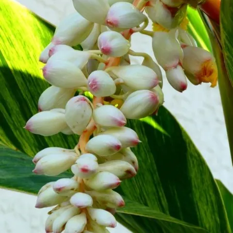 photos by Launa Herrmann