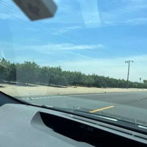 photo by Tina Saravia