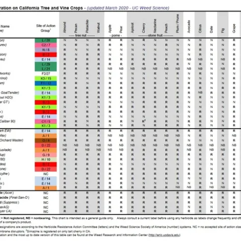 herbicides on trees 2020
