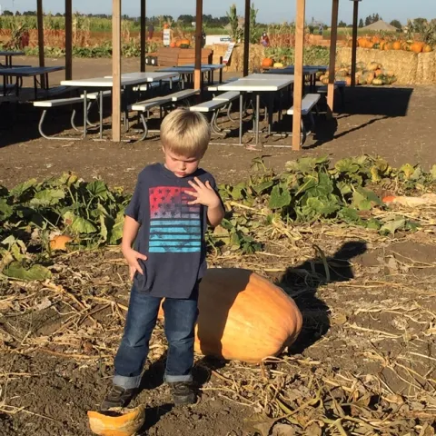 A little pumpkin Spice. photo by Jennifer Baumbach