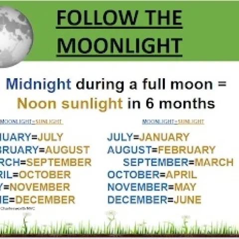 moonlight vs sunlight