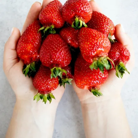 Two hands hold a bunch of strawberries