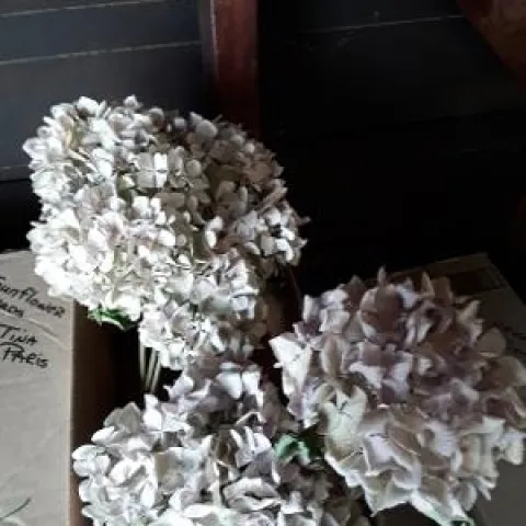 Dried flowers and plants to decorate your wreath. photos by Betty Victor