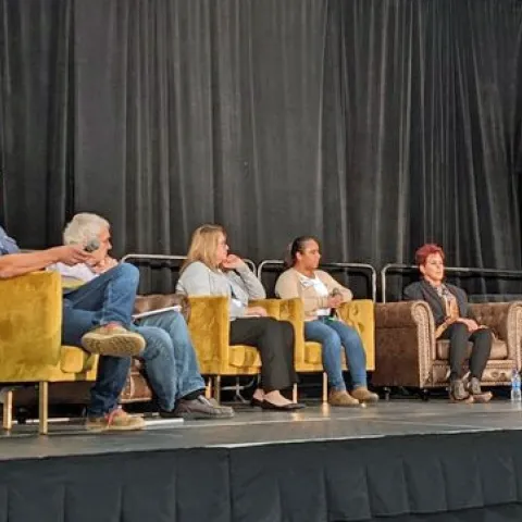 Panelists sit in armchairs on stage.